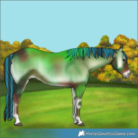 Horse Color:Painted Liver Red Onyx 