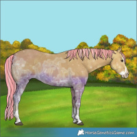 Horse Color:Painted Palomino Ice Sabino Splash 