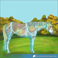 Horse Color:Thunderstruck Chestnut Ice Sabino Splash 