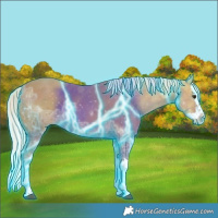 Horse Color:Thunderstruck Palomino Ice Sabino Splash 