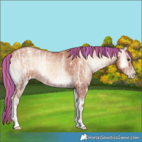 Horse Color:Painted Gold Champagne Ice Onyx