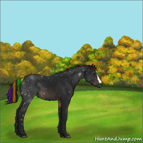 Horse Color:Gray Painted Brown 