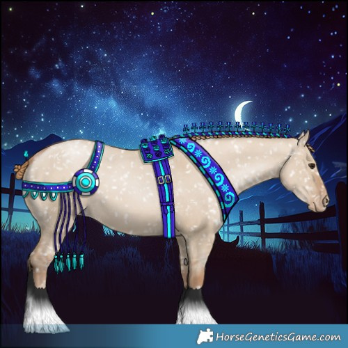 Horse Color:Grullo Pearl Appaloosa 