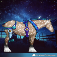 Horse Color:Gray Grullo Pearl Appaloosa 