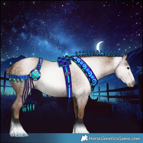 Horse Color:Gray Black Pearl Appaloosa 