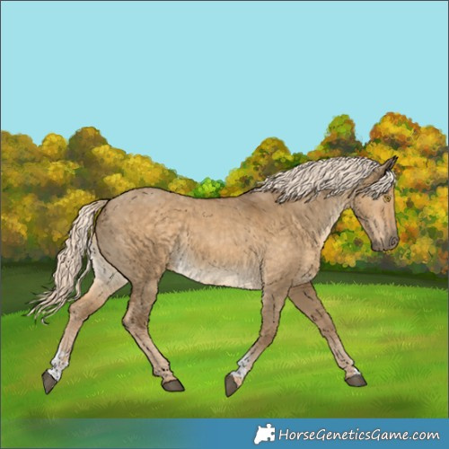Horse Color:Chocolate Palomino Dun Sabino 