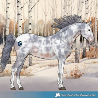Horse Color:Watercolor Smoky Black Ice Tobiano Rabicano 