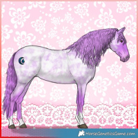 Horse Color:Watercolor Red Ice Roan Tobiano Rabicano 