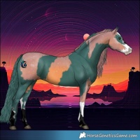 Horse Color:Watercolor Chestnut Splash  and Watercolor Smoky Black 