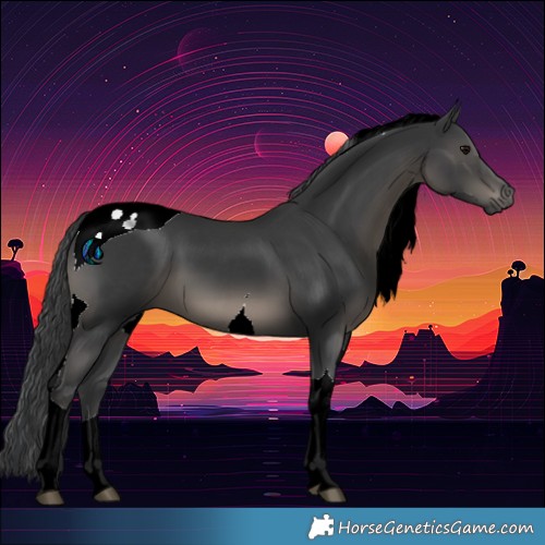 Horse Color:Black Tobiano 