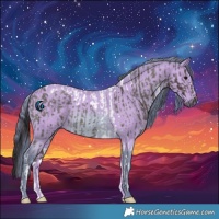 Horse Color:Smoky Blue Roan Tobiano  and Watercolor Bay 