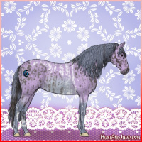 Horse Color:Smoky Blue Roan Tobiano and Watercolor Bay