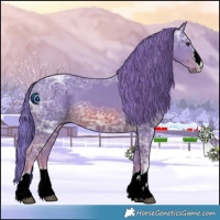 Horse Color:Watercolor Chestnut Ice 