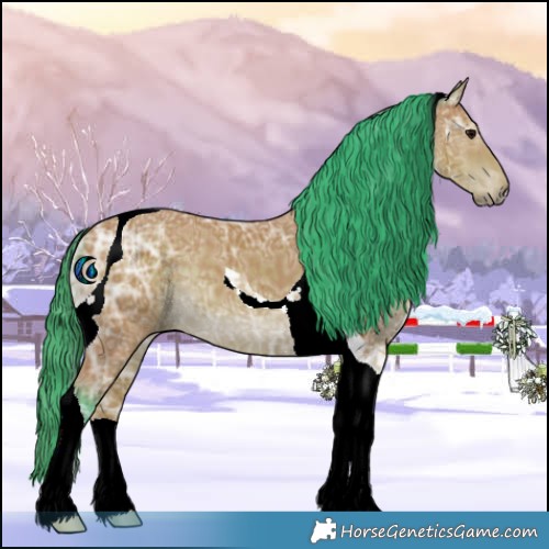 Horse Color:Watercolor Buckskin Ice Tobiano 