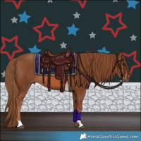 Horse Color:Chestnut Rabicano 