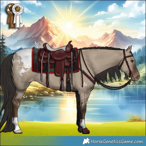 Horse Color:Liver Red Dun Appaloosa 