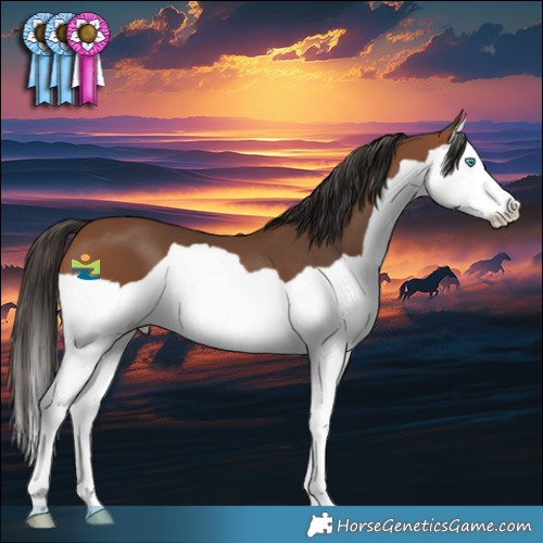 Horse Color:Bay Splash 