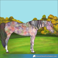 Horse Color:Nacre Bay Ice Dun Tobiano 
