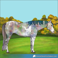 Horse Color:Nacre Bay Ice Dun Splash Tobiano Rabicano 