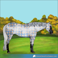 Horse Color:Void Plaid  White Spotted Silver Bay Ice Splash 