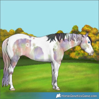 Horse Color:Nacre Bay Ice Dun Splash Tobiano 