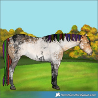 Horse Color:Void Painted Buckskin Ice Tobiano 
