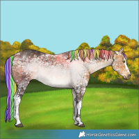 Horse Color:Painted White Spotted Silver Buckskin Ice 