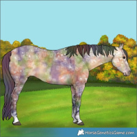 Horse Color:Nacre Buckskin Ice Dun 