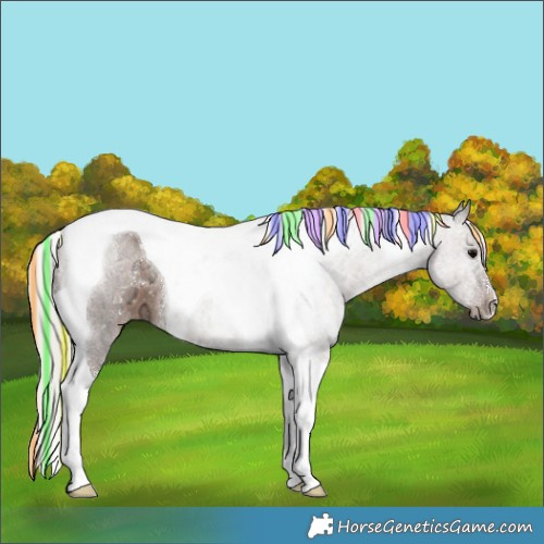 Horse Color:Painted Silver Black Ice Tobiano 