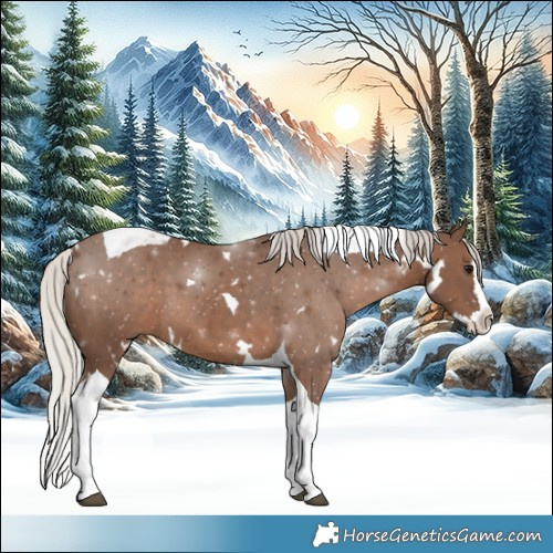 Horse Color:White Spotted Silver Black Splash Tobiano 