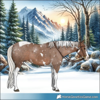 Horse Color:White Spotted Silver Black Splash Tobiano 