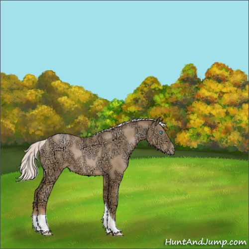 Horse Color:Silver Smoky Black Ice Pearl Tobiano 