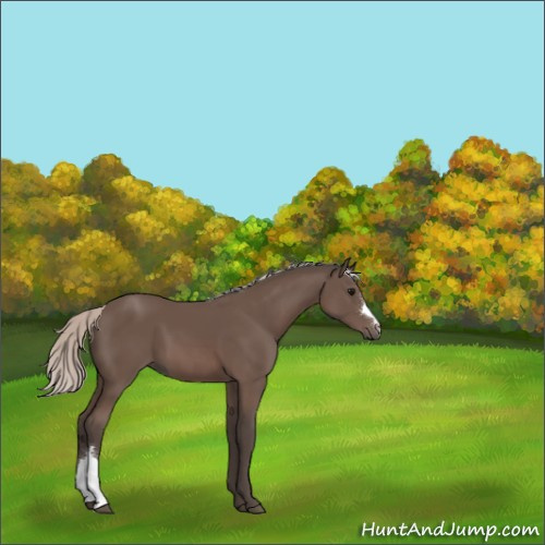 Horse Color:Silver Black 