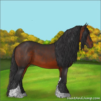 Horse Color:Brown Tobiano