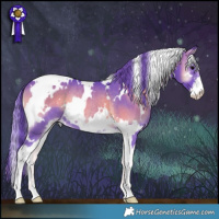 Horse Color:Watercolor White Spotted Smoky Blue Onyx Sabino Rabicano