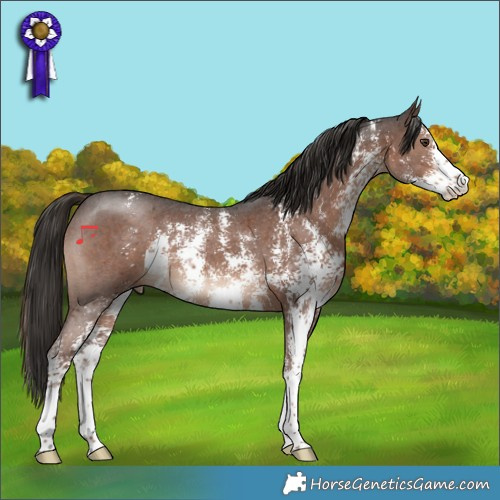 Horse Color:Liver Chestnut Sabino 