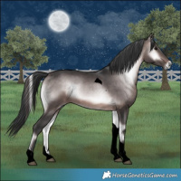 Horse Color:Void Platinum Brown Onyx Tobiano 