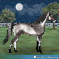 Horse Color:Void Platinum Brown Onyx Tobiano 