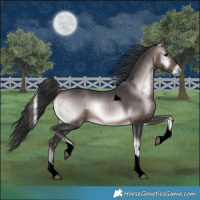 Horse Color:Void Platinum Brown Onyx Tobiano 