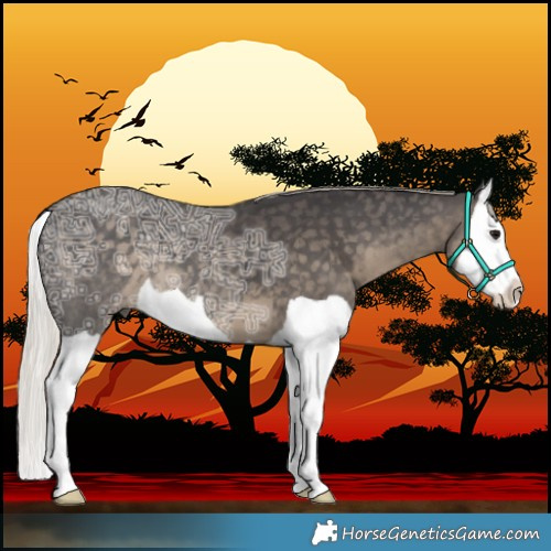 Horse Color:Silver Smoky Black Ice Splash 