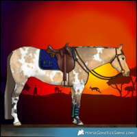 Horse Color:White Spotted Buckskin Ice Dun 
