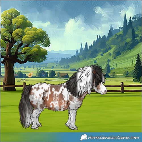 Horse Color:White Spotted Bay Appaloosa 