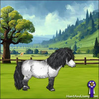 Horse Color:White Spotted Bay Chinchilla 