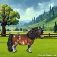 Horse Color:White Spotted Brown 