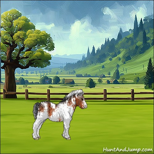 Horse Color:White Spotted Bay 