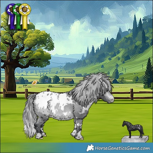 Horse Color:White Spotted Bay Chinchilla Appaloosa 