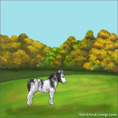 Horse Color:White Spotted Black 