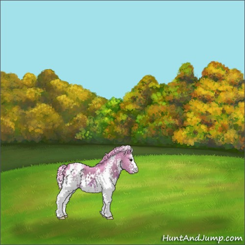 Horse Color:Watercolor White Spotted Brown 