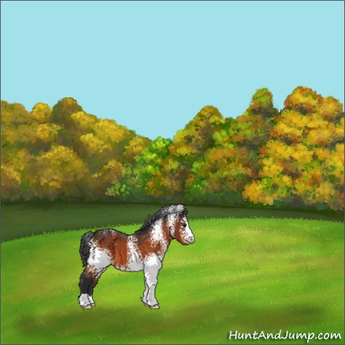 Horse Color:White Spotted Brown 