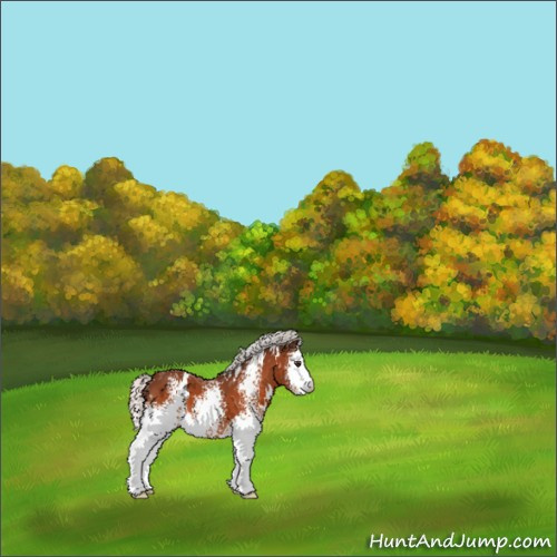 Horse Color:White Spotted Silver Brown 